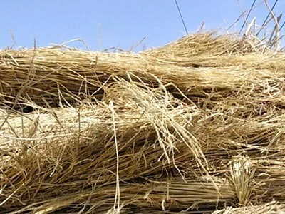 product-400-300 product-400-300